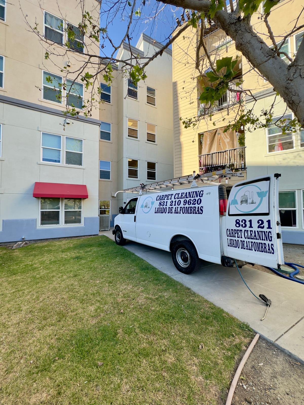 Carpet Cleaning Professional
